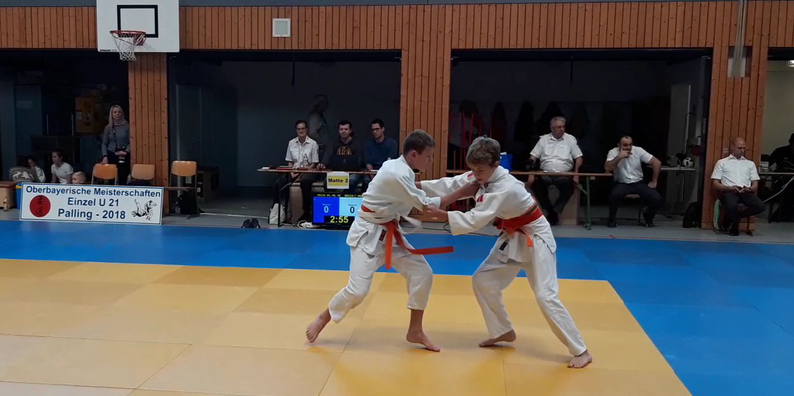 OBB EM 2018 in Palling